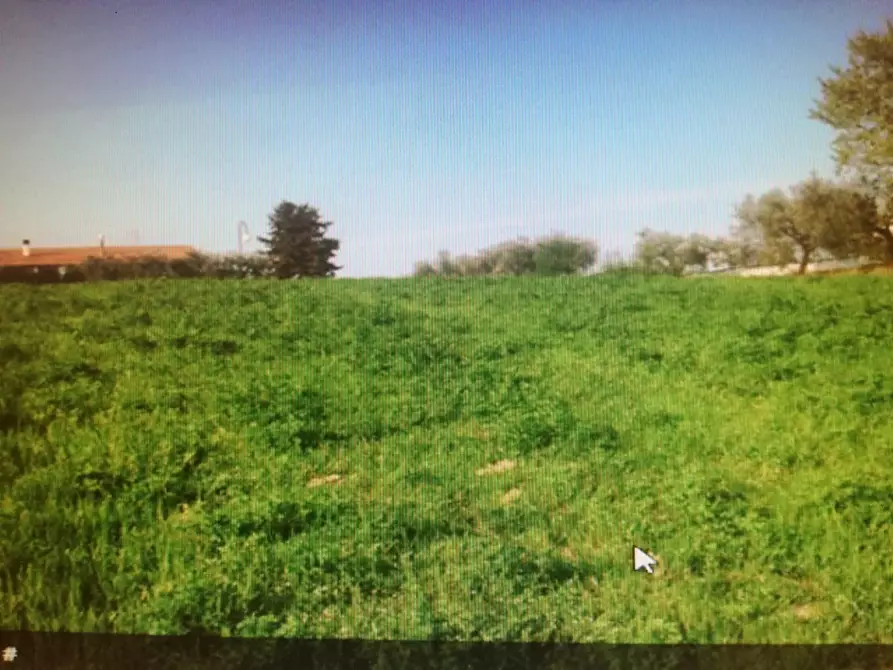 Immagine 1 di Terreno agricolo in vendita  in Contrada Palazzi a Castorano