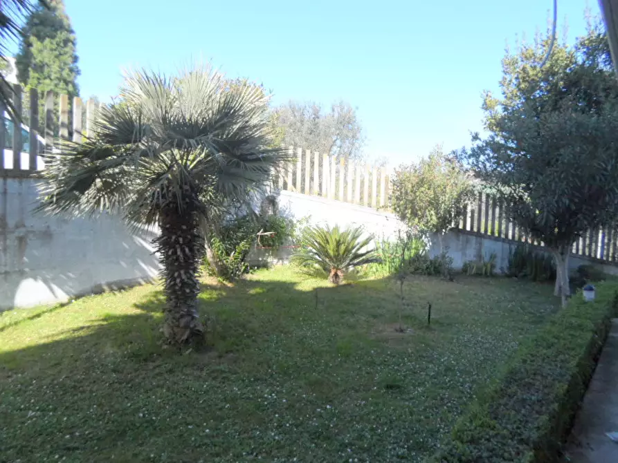 Immagine 4 di Laboratorio in vendita  in Via Papa Urbano I a San Benedetto Del Tronto