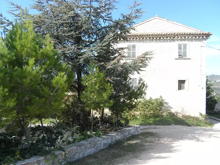 Immagine 9 di Rustico / casale in vendita  in Contrada Colle Sant'Angelo a Monteprandone