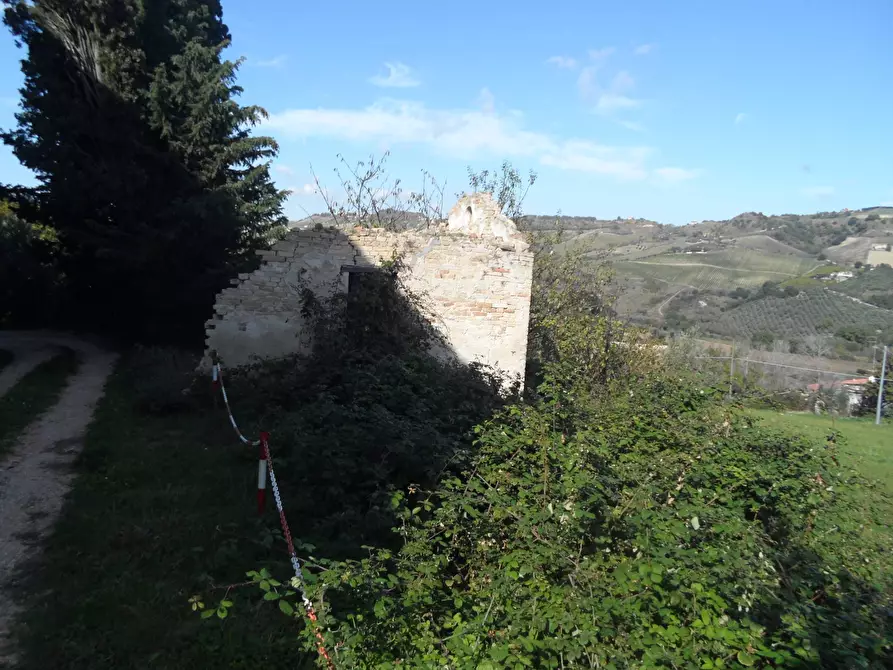 Immagine 11 di Rustico / casale in vendita  in Contrada Colle Sant'Angelo a Monteprandone