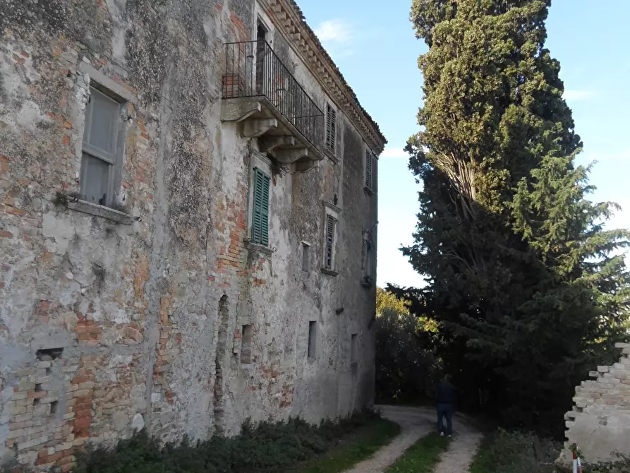 Immagine 13 di Rustico / casale in vendita  in Contrada Colle Sant'Angelo a Monteprandone