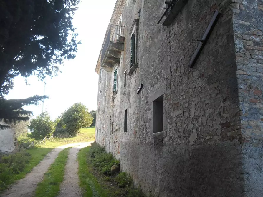 Immagine 14 di Rustico / casale in vendita  in Contrada Colle Sant'Angelo a Monteprandone