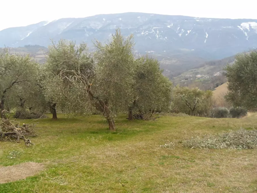 Immagine 4 di Casa indipendente in vendita  in Via Roma Frazione Capolavilla a Folignano