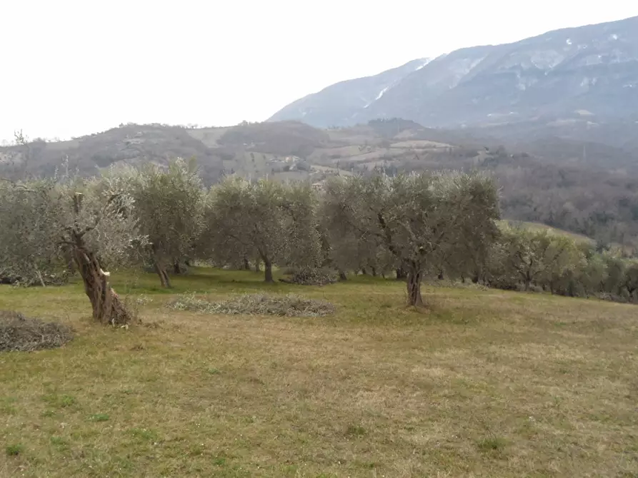 Immagine 6 di Casa indipendente in vendita  in Via Roma Frazione Capolavilla a Folignano