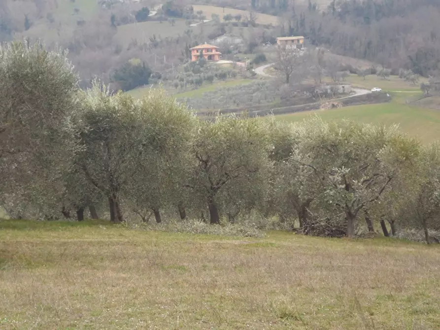 Immagine 9 di Casa indipendente in vendita  in Via Roma Frazione Capolavilla a Folignano