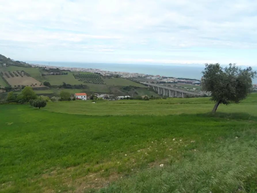 Immagine 4 di Rustico / casale in vendita  in Contrada Colle Monte Renzo a San Benedetto Del Tronto