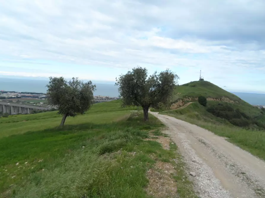 Immagine 2 di Rustico / casale in vendita  in Contrada Colle Monte Renzo a San Benedetto Del Tronto