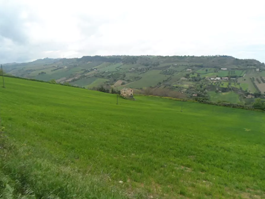 Immagine 10 di Rustico / casale in vendita  in Contrada Colle Monte Renzo a San Benedetto Del Tronto