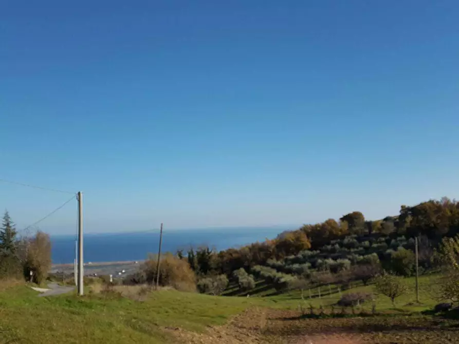 Immagine 2 di Rustico / casale in vendita  in Contrada San Martino a Colonnella