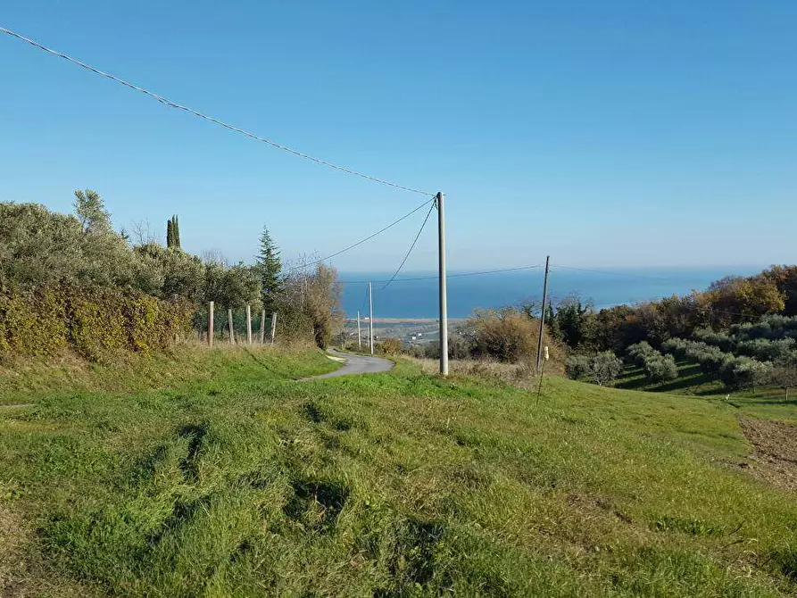 Immagine 3 di Rustico / casale in vendita  in Contrada San Martino a Colonnella