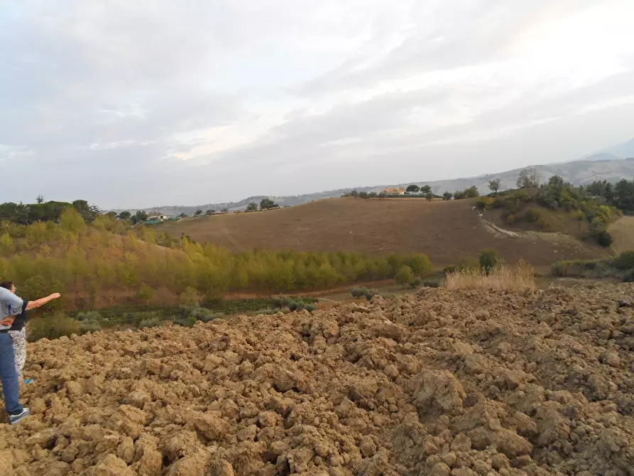 Immagine 1 di Terreno residenziale in vendita  in Contrada San Silvestro a Castorano