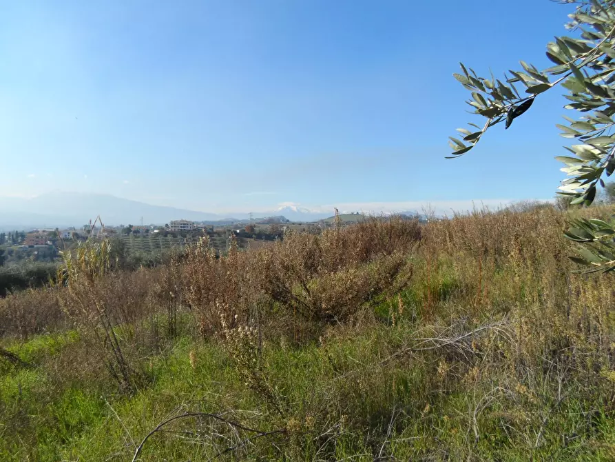 Immagine 1 di Terreno residenziale in vendita  in Contrada San Donato a Monteprandone