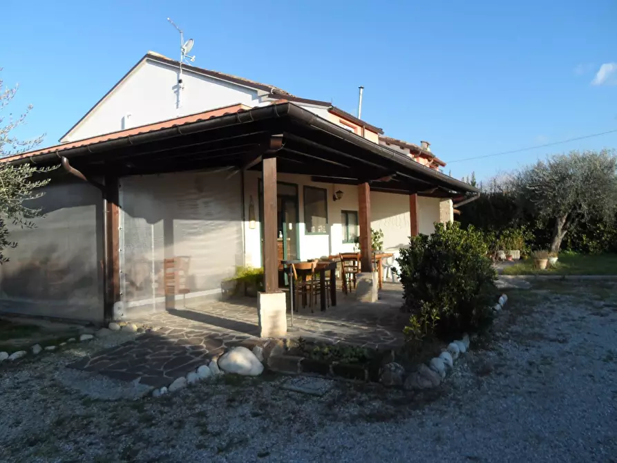 Immagine 3 di Agriturismo in vendita  in Contrada Valle Cecchina a Monsampolo Del Tronto