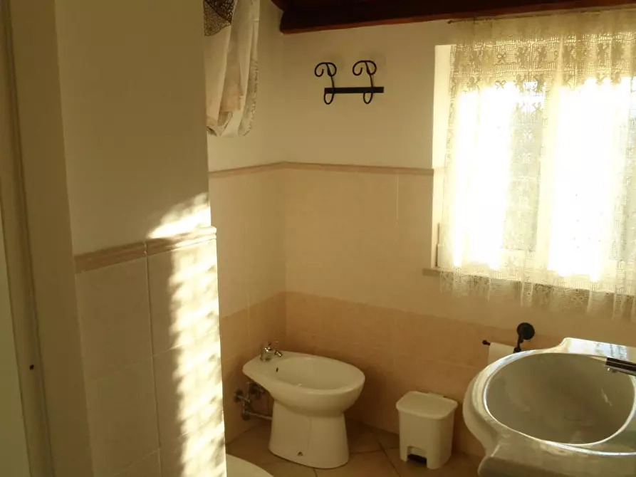 Immagine 13 di Agriturismo in vendita  in Contrada Valle Cecchina a Monsampolo Del Tronto