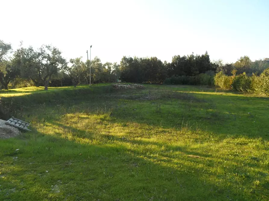 Immagine 23 di Agriturismo in vendita  in Contrada Valle Cecchina a Monsampolo Del Tronto