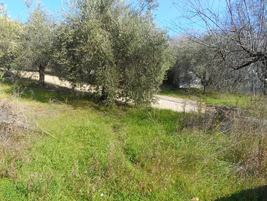 Immagine 5 di Casa indipendente in vendita  in San Donato a Monteprandone