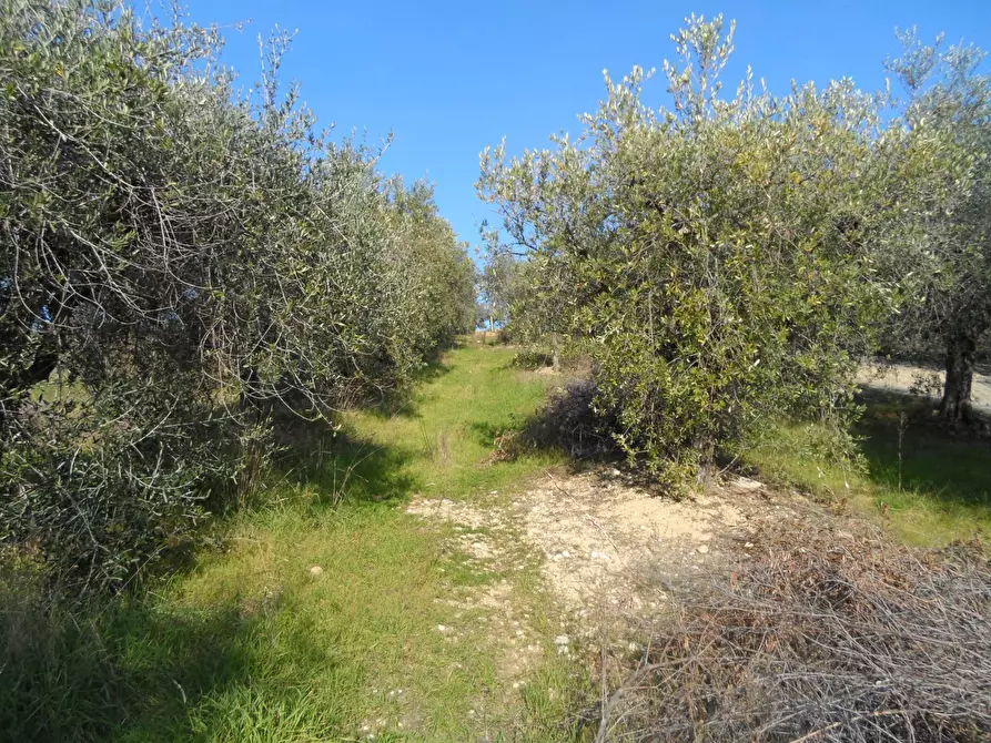 Immagine 7 di Casa indipendente in vendita  in San Donato a Monteprandone