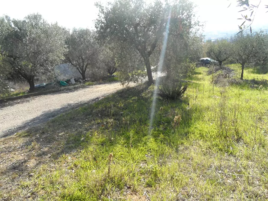 Immagine 8 di Casa indipendente in vendita  in San Donato a Monteprandone