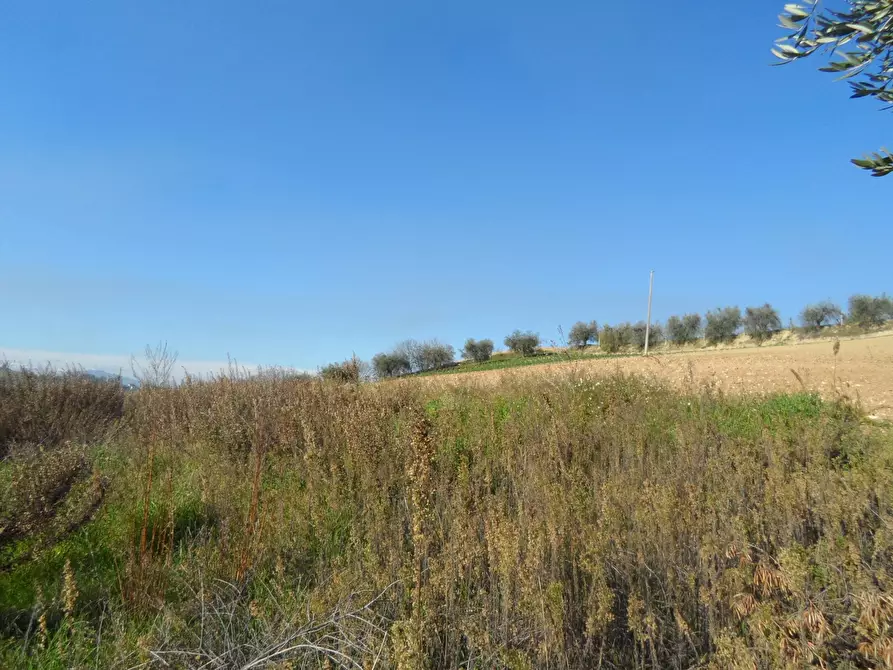Immagine 11 di Casa indipendente in vendita  in San Donato a Monteprandone