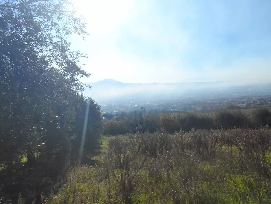 Immagine 12 di Casa indipendente in vendita  in San Donato a Monteprandone