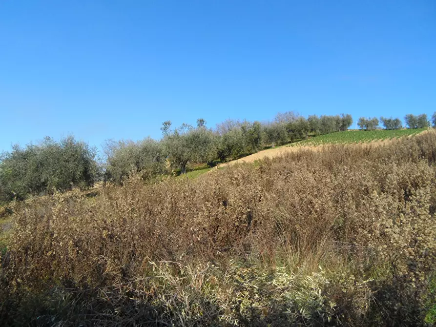 Immagine 13 di Casa indipendente in vendita  in San Donato a Monteprandone