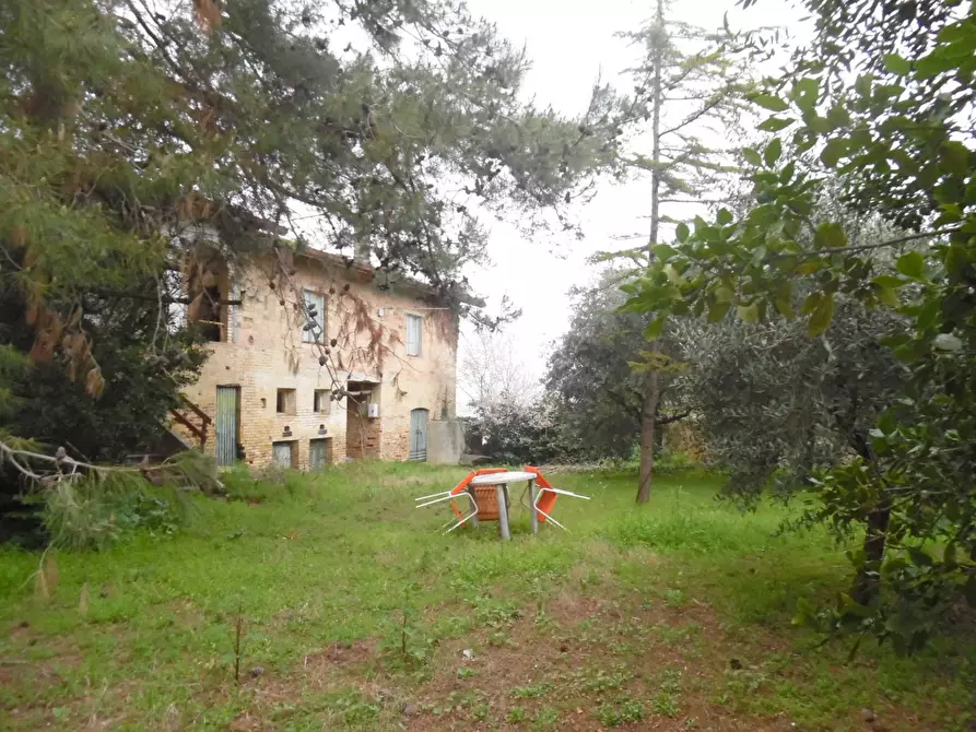 Immagine 17 di Rustico / casale in vendita  in Via Ferretti a Spinetoli