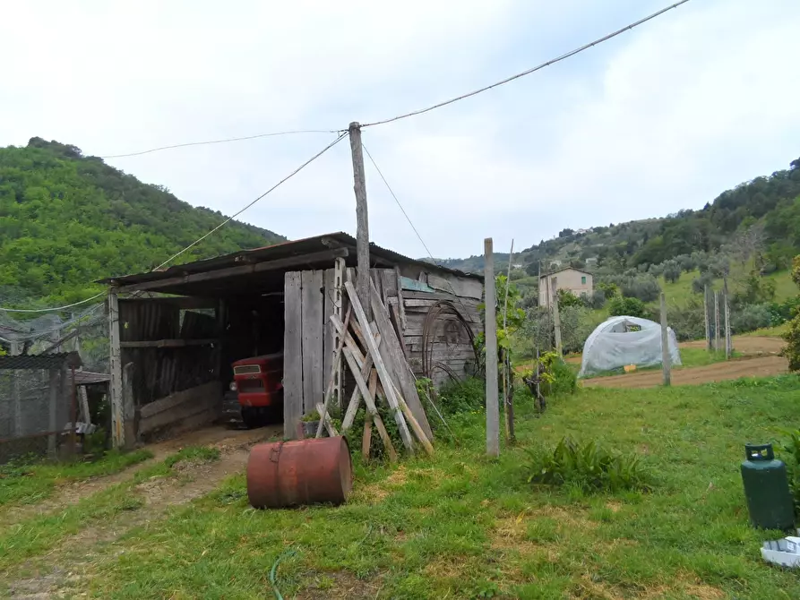 Immagine 9 di Rustico / casale in vendita  in Contrada Sant'Egidio a Cupra Marittima