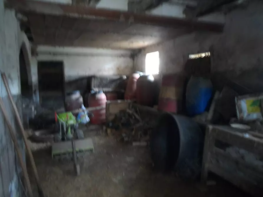 Immagine 14 di Rustico / casale in vendita  in Contrada Sant'Egidio a Cupra Marittima