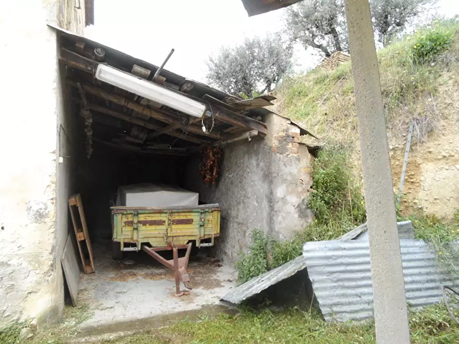 Immagine 16 di Rustico / casale in vendita  in Contrada Sant'Egidio a Cupra Marittima