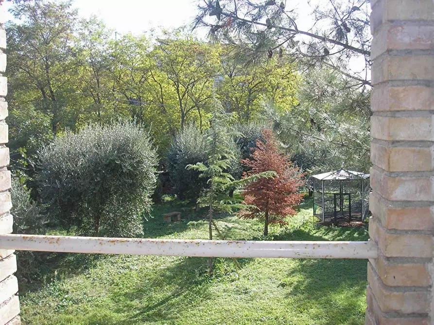 Immagine 11 di Rustico / casale in vendita  in Via Ferretti a Spinetoli