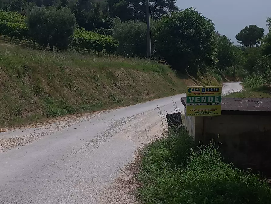 Immagine 3 di Rustico / casale in vendita  in Contrada Sant'Egidio a Cupra Marittima