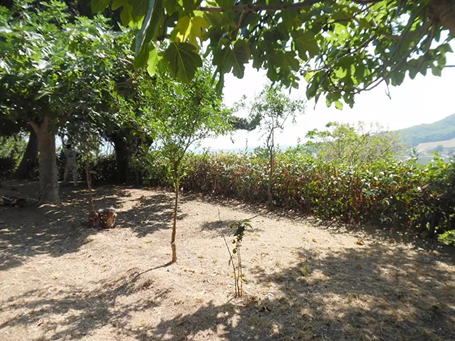 Immagine 4 di Rustico / casale in vendita  in Contrada giardino a Colonnella