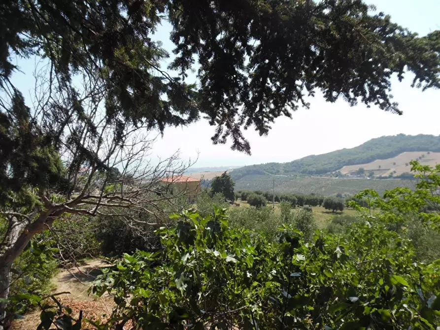Immagine 3 di Rustico / casale in vendita  in Contrada giardino a Colonnella