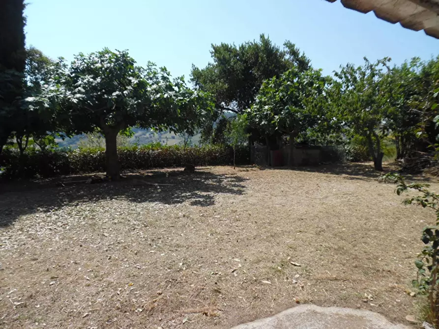 Immagine 9 di Rustico / casale in vendita  in Contrada giardino a Colonnella