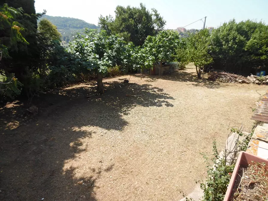 Immagine 11 di Rustico / casale in vendita  in Contrada giardino a Colonnella