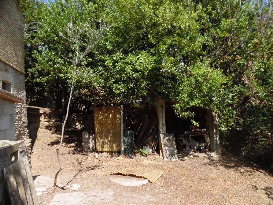 Immagine 19 di Rustico / casale in vendita  in Contrada giardino a Colonnella