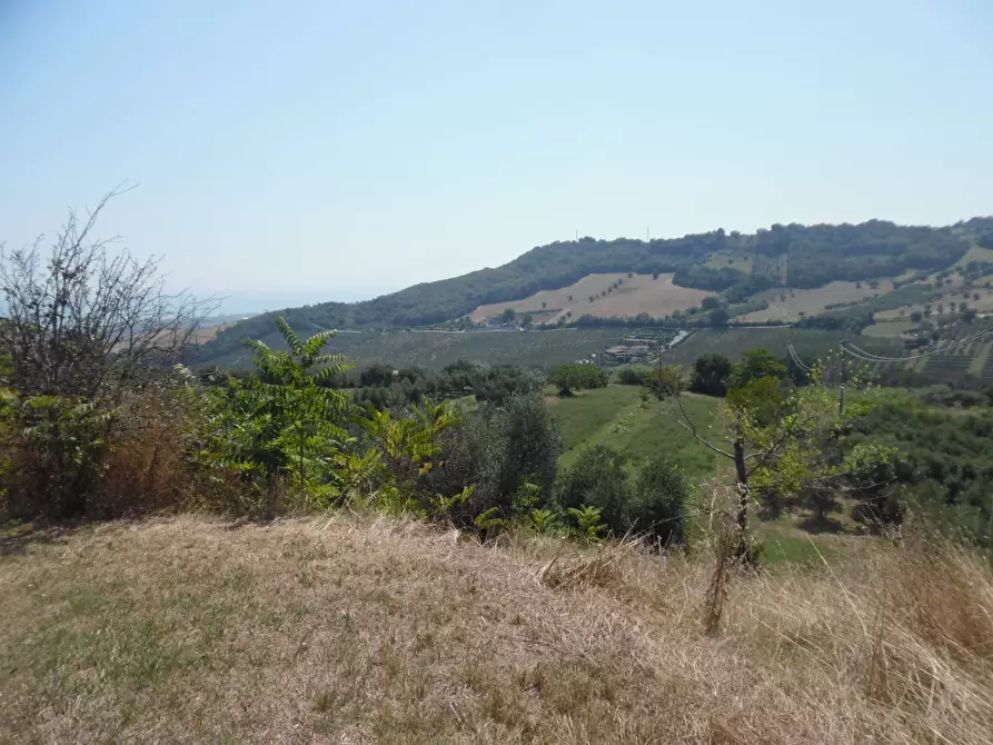 Immagine 20 di Rustico / casale in vendita  in Contrada giardino a Colonnella