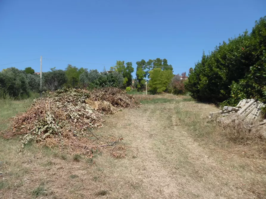 Immagine 21 di Rustico / casale in vendita  in Contrada giardino a Colonnella