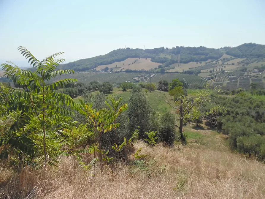 Immagine 22 di Rustico / casale in vendita  in Contrada giardino a Colonnella