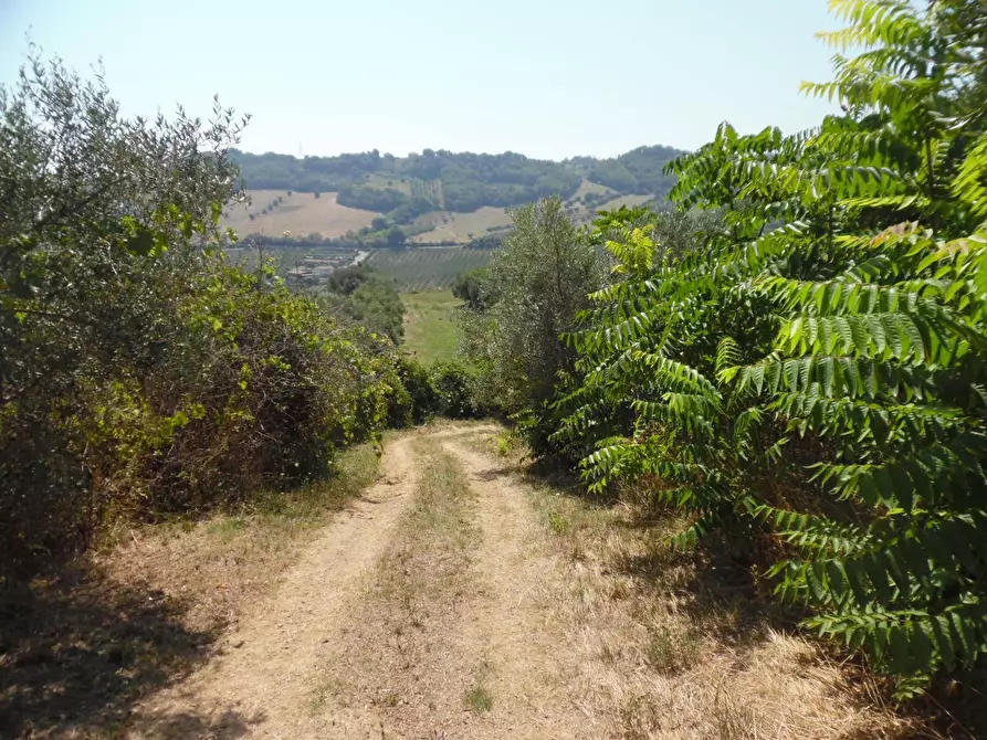 Immagine 23 di Rustico / casale in vendita  in Contrada giardino a Colonnella