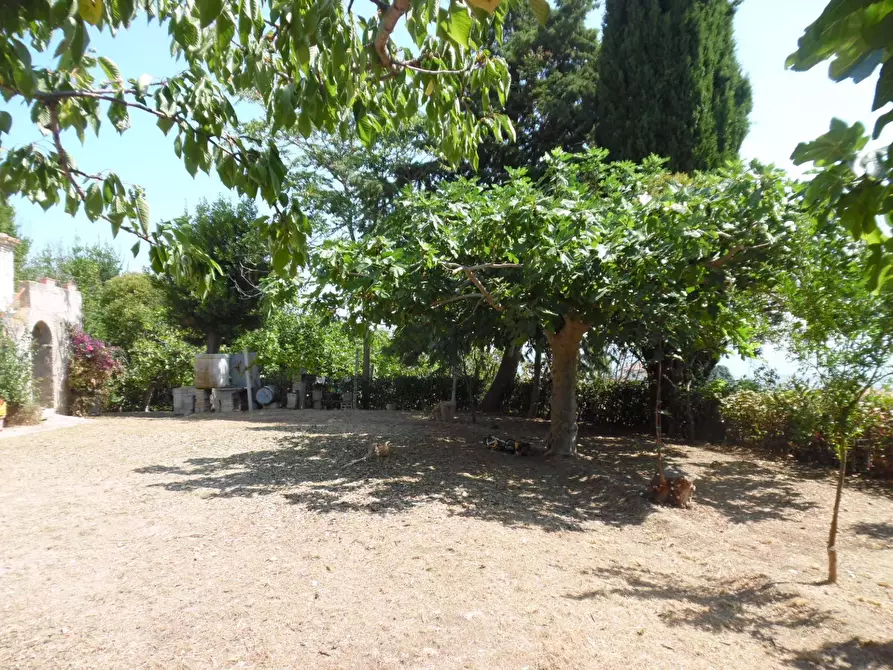 Immagine 2 di Rustico / casale in vendita  in Contrada giardino a Colonnella