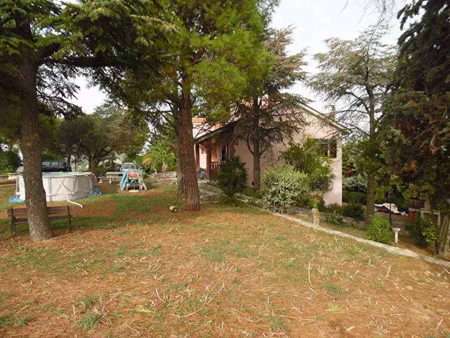 Immagine 20 di Villa in vendita  in Contrada Bora Ragnola a Monteprandone