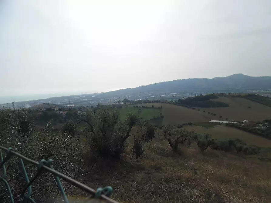 Immagine 22 di Villa in vendita  in Contrada Bora Ragnola a Monteprandone