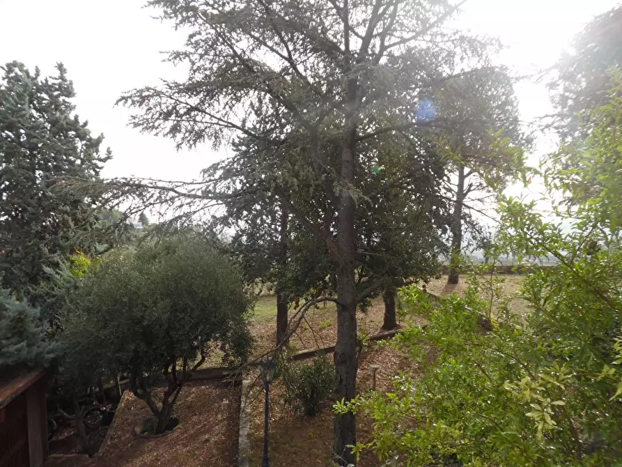 Immagine 28 di Villa in vendita  in Contrada Bora Ragnola a Monteprandone