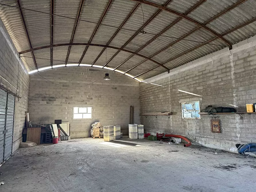 Immagine 4 di Capannone industriale in vendita  in Via Civita a Martinsicuro
