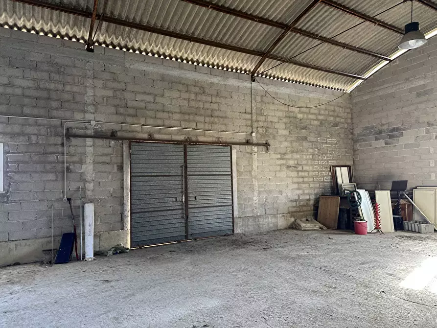 Immagine 2 di Capannone industriale in vendita  in Via Civita a Martinsicuro