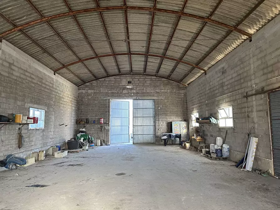 Immagine 5 di Capannone industriale in vendita  in Via Civita a Martinsicuro