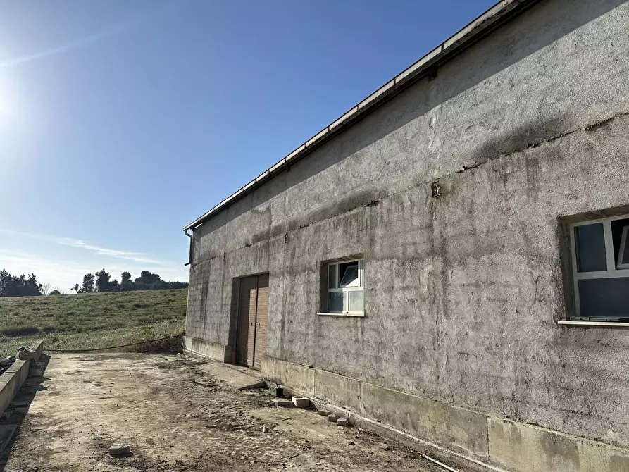 Immagine 3 di Capannone industriale in vendita  in Via Civita a Martinsicuro