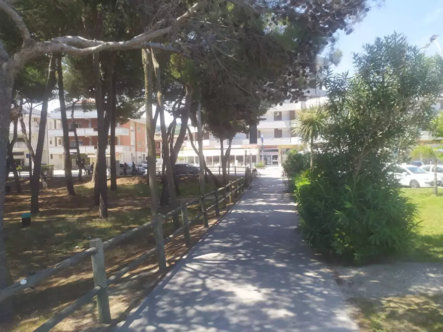 Immagine 15 di Appartamento in vendita  in Via delle Regioni a Alba Adriatica