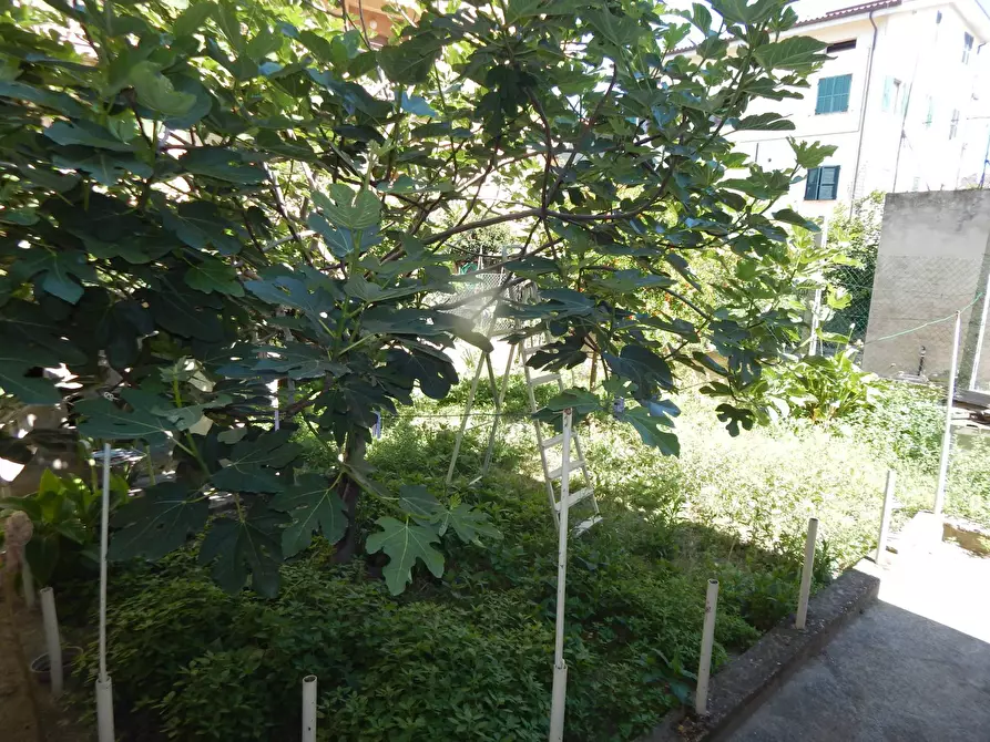 Immagine 12 di Casa indipendente in vendita  in Via Gabrielli a San Benedetto Del Tronto